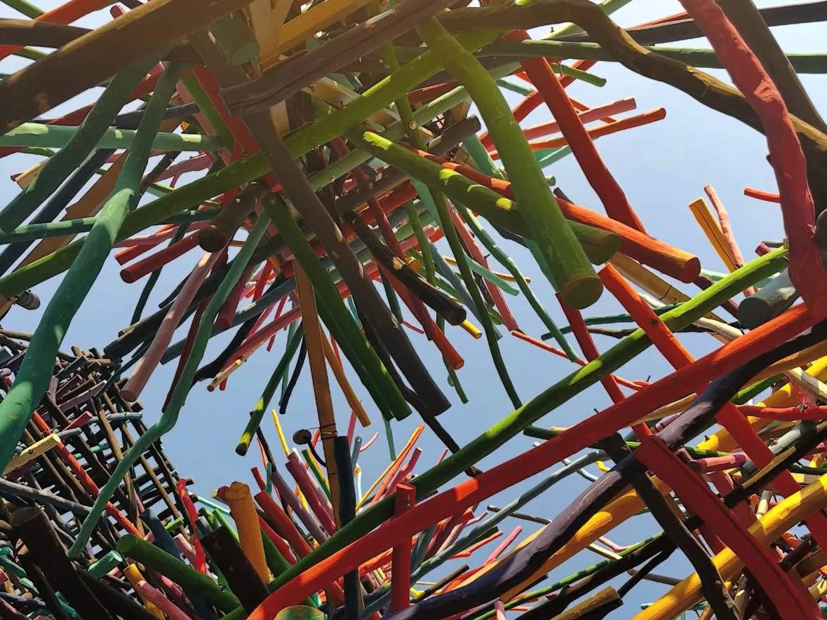 Фото: МБУ «Дирекция парков Одинцовского городского округа»