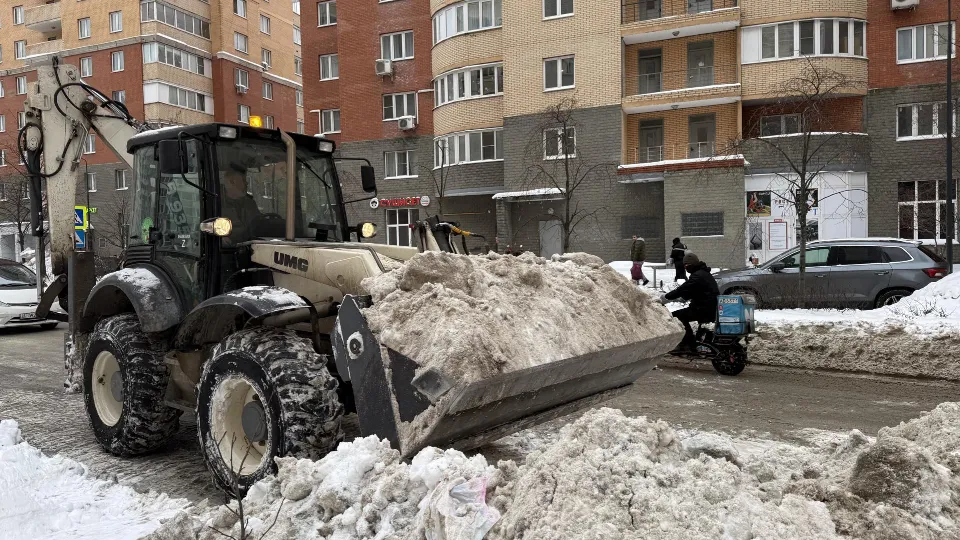 Фото: МедиаБанк Подмосковья/Анна Дука