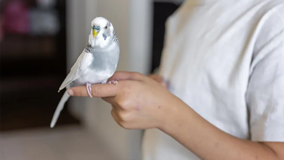 Фото: freepik.com