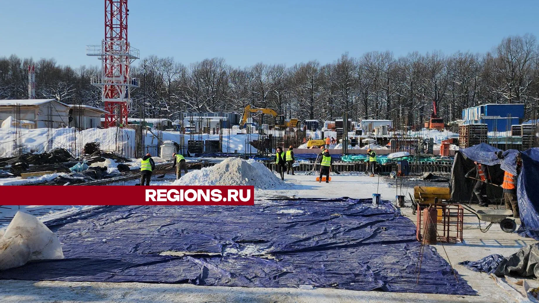 Галина Добрынина