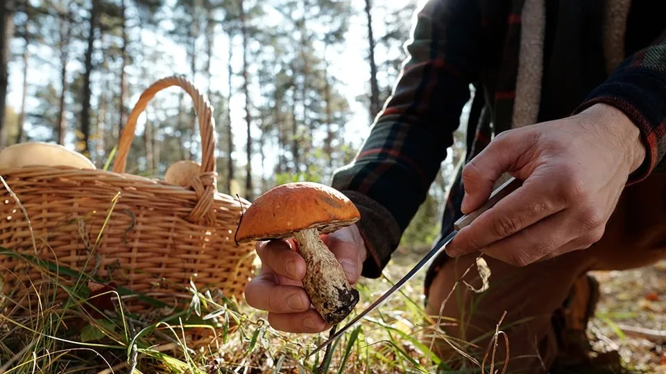 Фото: istockphoto.com