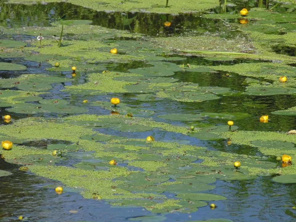 Фото: vk.com/Александр Беляев&nbsp;