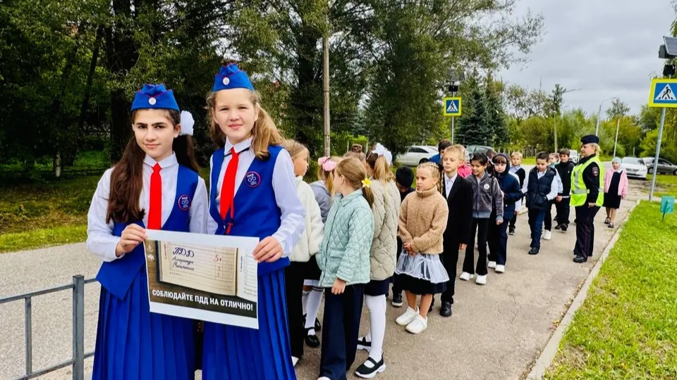 Фото: Госавтоинспекция по Орехово-Зуевскому г.о.