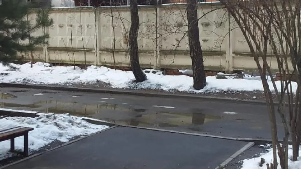 Фото: пресс-служба администрации г.о. Солнечногорск