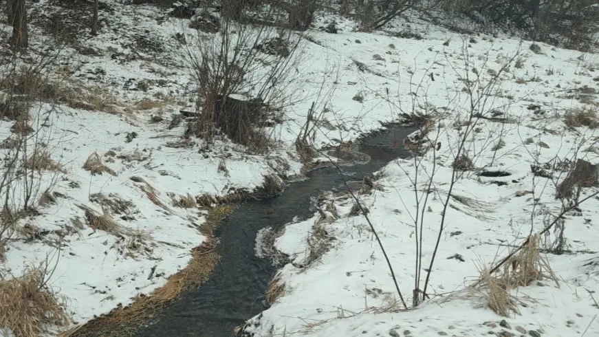 Фото: пресс-служба администрации Рузского г.о.