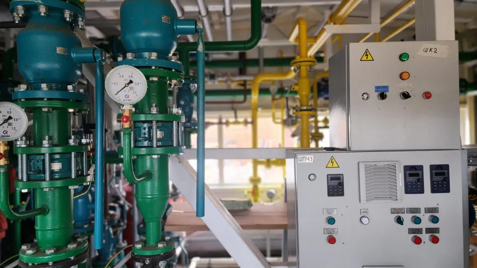 Фото: Светлана Плотникова