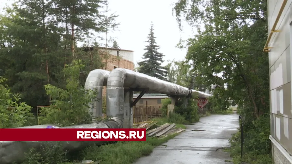 Фото: Данила Кирьянов