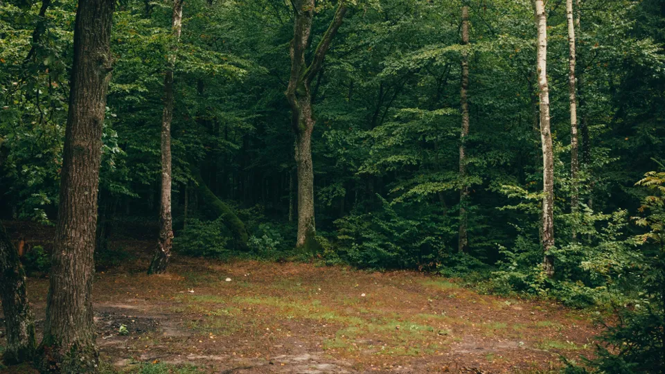 Фото: unsplash.com