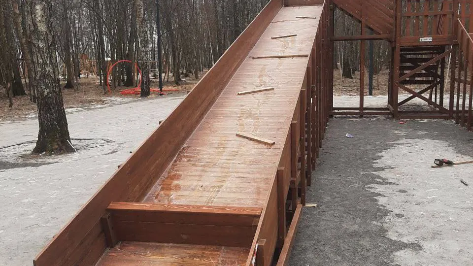 Фото: t.me/gubernsky_les