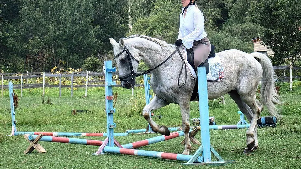 Фото: пресс-служба Администрации г.о. Дмитров