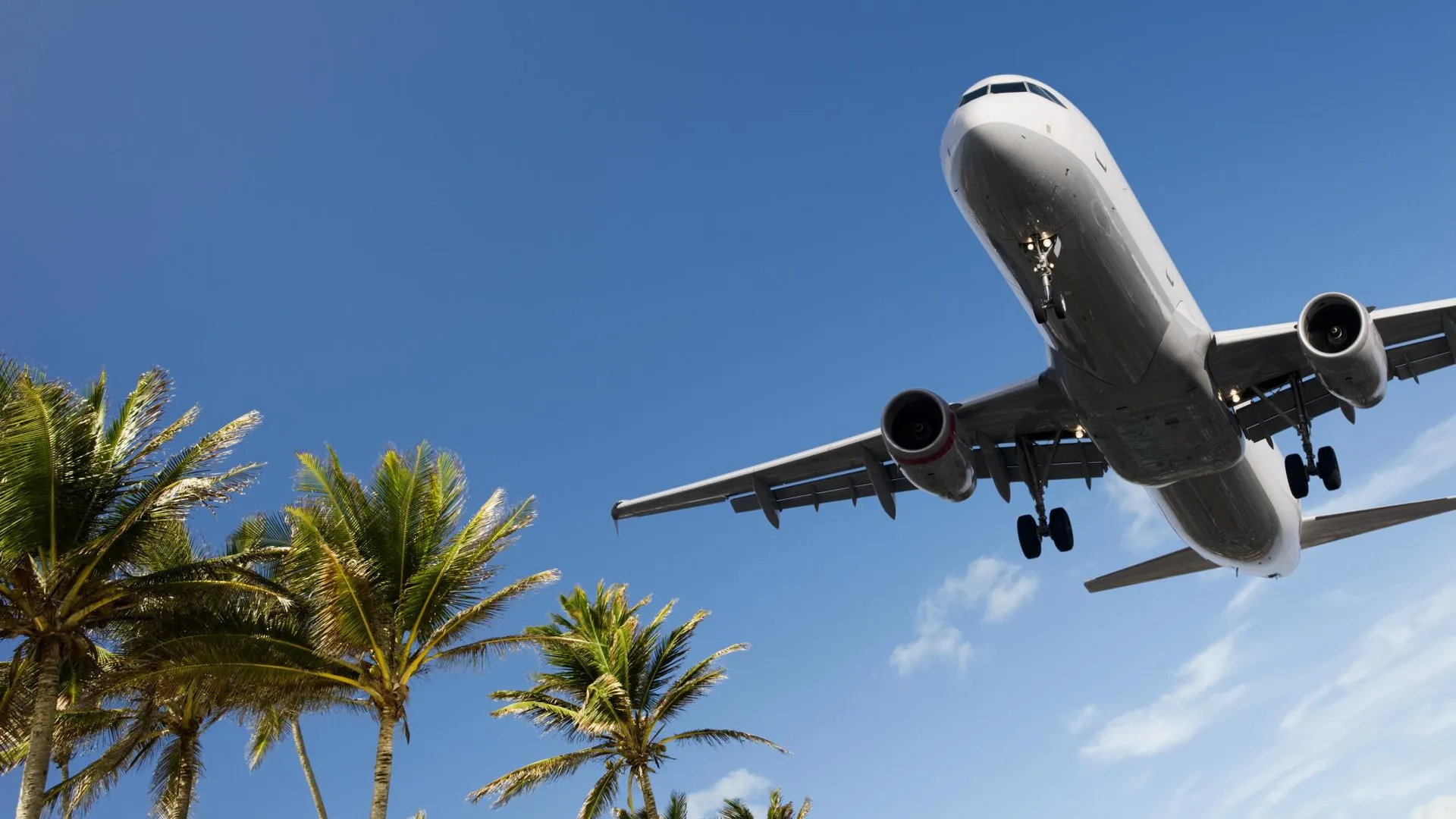 «Самолет развернули посреди океана». Лайнер Azur Air экстренно сел в Таиланде из-за незакрытых створок шасси