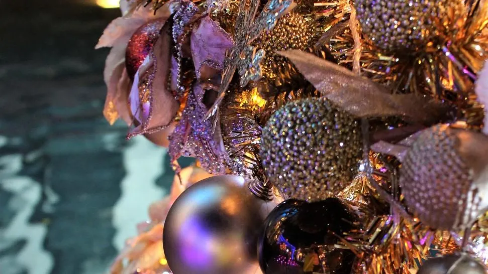 Фото: pxhere.com