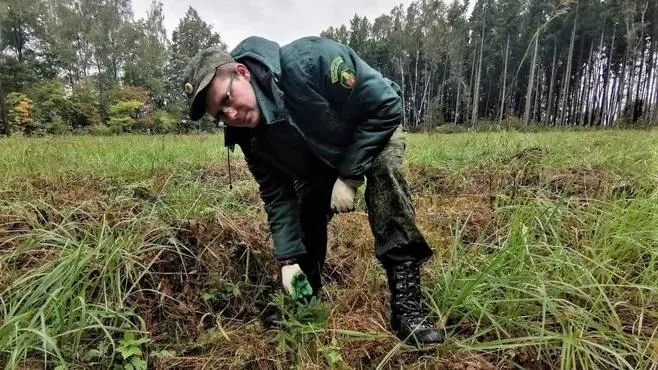 фото: Комитет лесного хозяйства