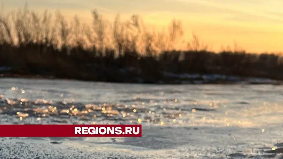 Фото: REGIONS/Елена Фурман