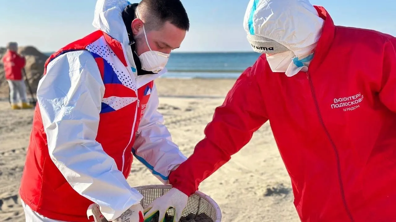 Фото: t.me/dmitriyvikulov