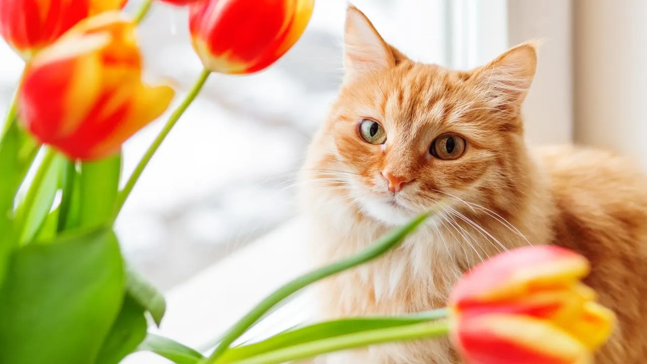 istockphoto.com/Konstantin Aksenov