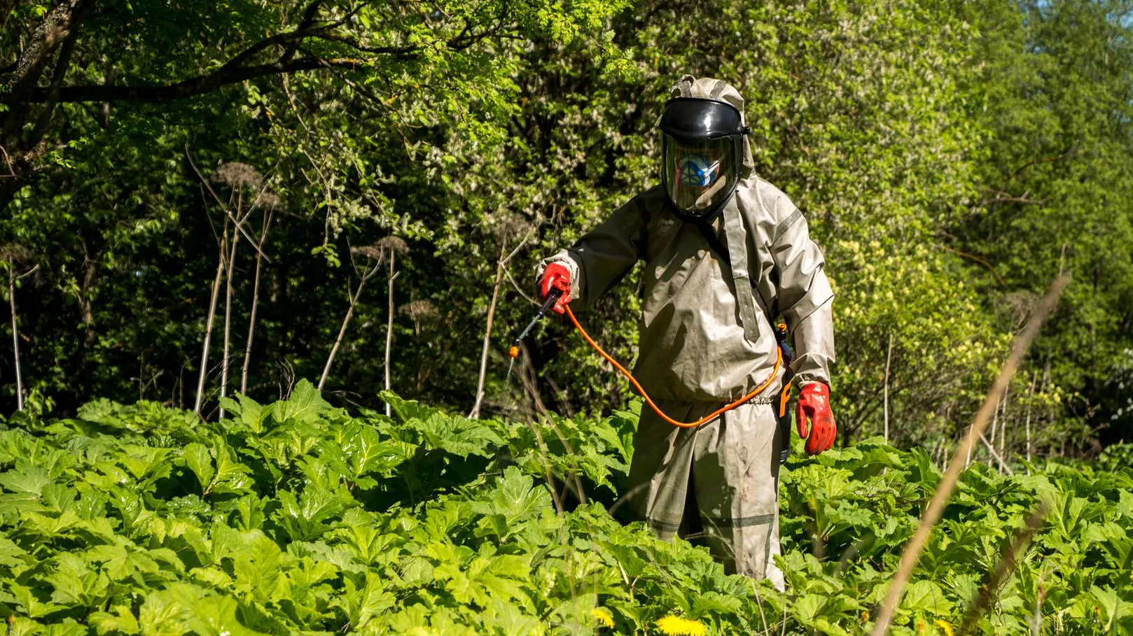 медиасток.рф