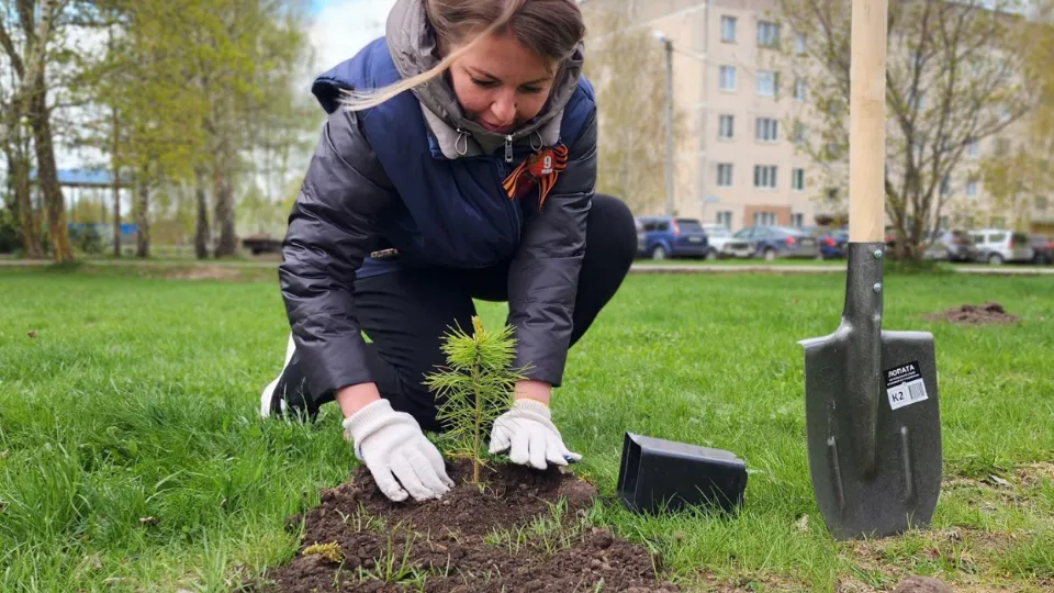 Фото: Екатерина Данилина