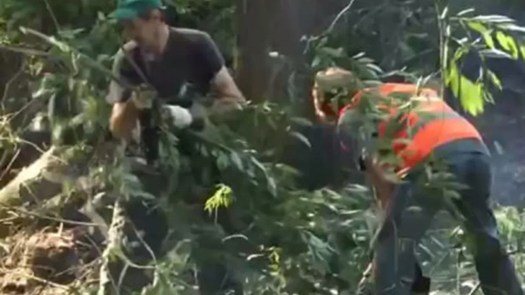 Фото: t.me/Krasnotsvetov_MV