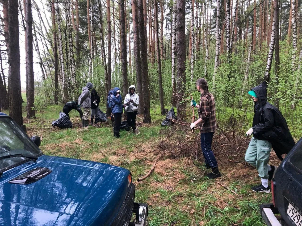 Комитет лесного хозяйства Московской области