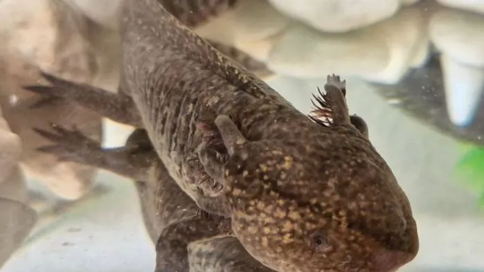 Фото: городская доска объявлений