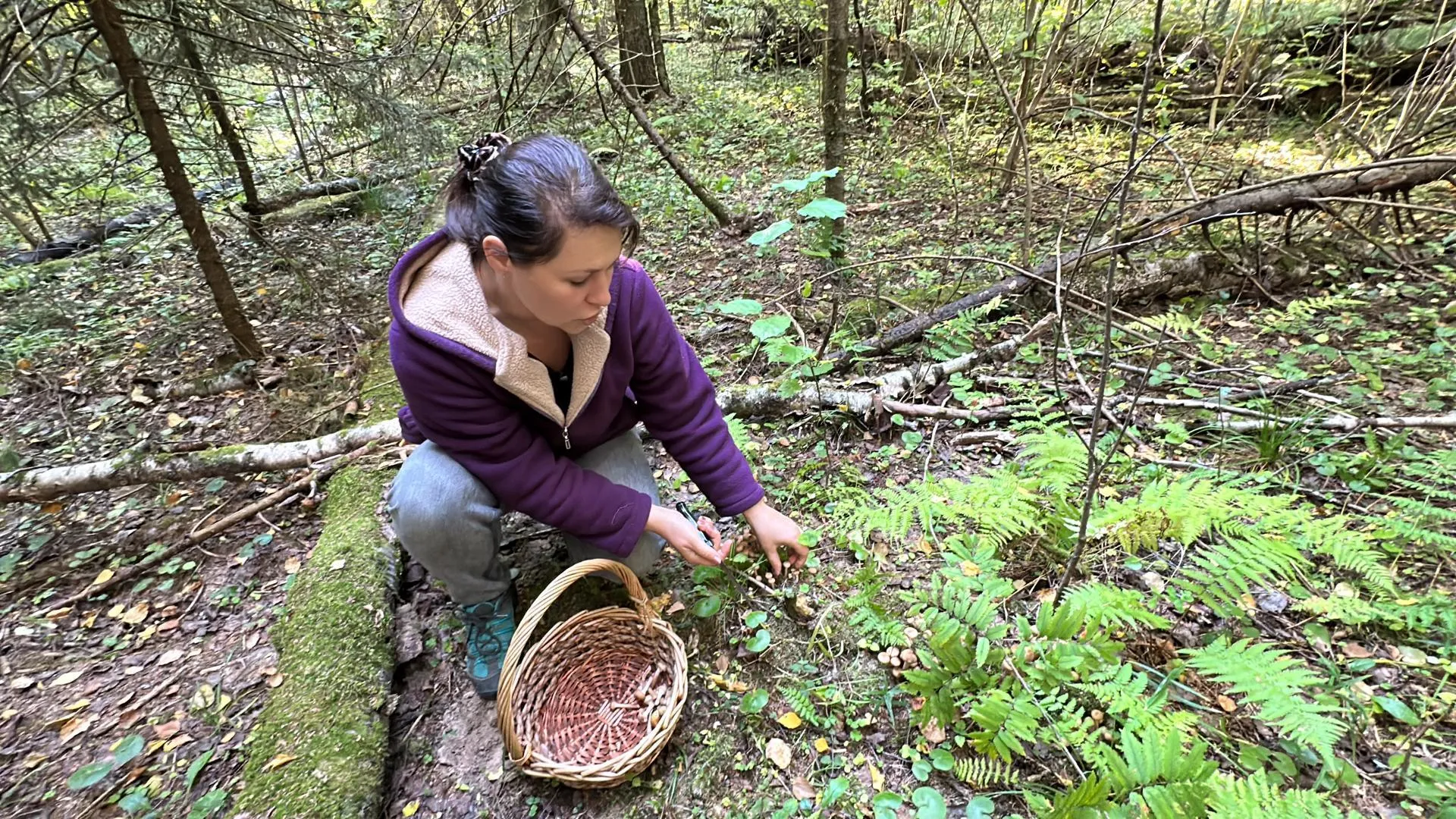 Мария Петрова