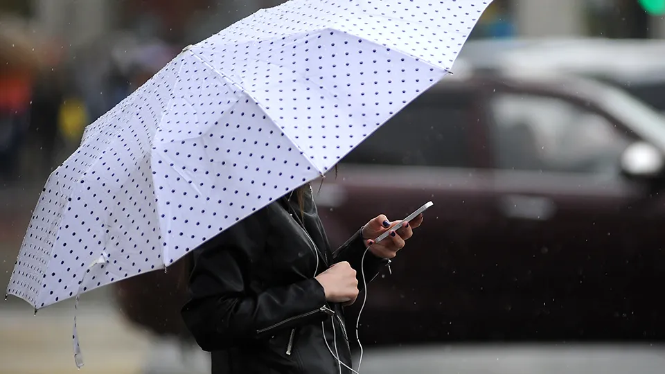 Фото: Кирилл Софьинский