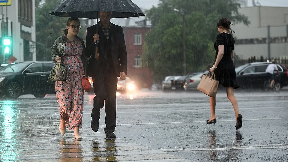 Фото: медиасток.рф