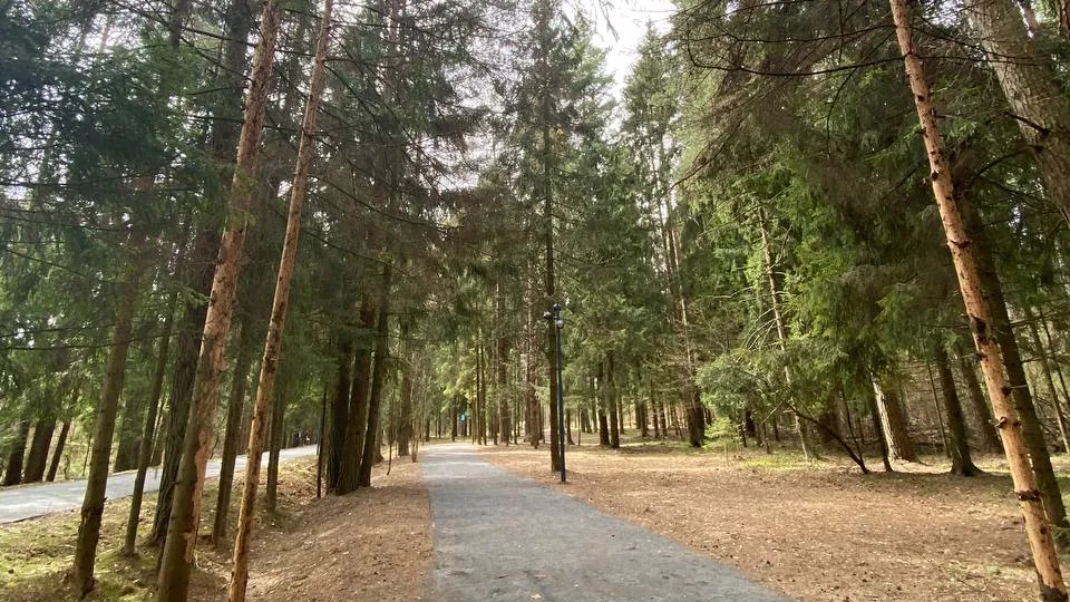 Фото: REGIONS/Алена Мельникова