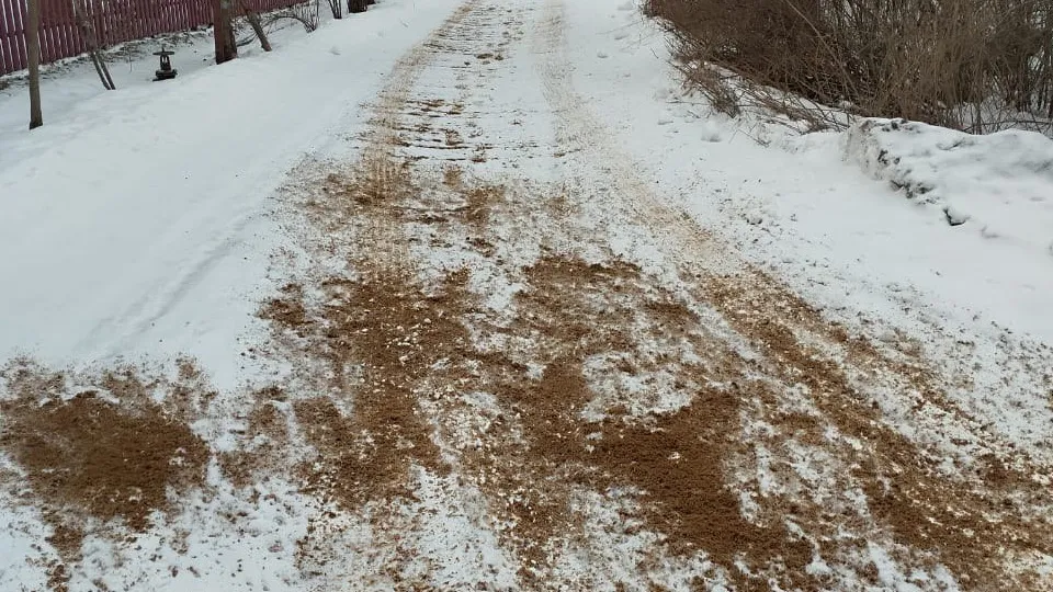 Фото: МЦУР Дмитровского муниципального округа