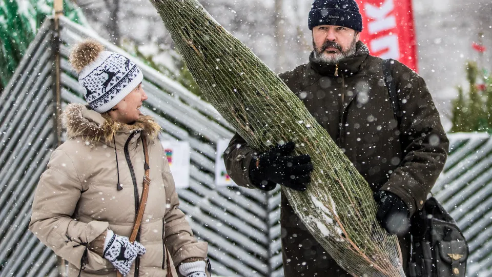 Фото: ТАСС/Сергей Бобылев