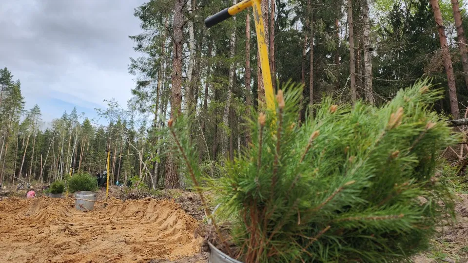 Фото: МедиаБанк Подмосковья/ Юлия Андросова