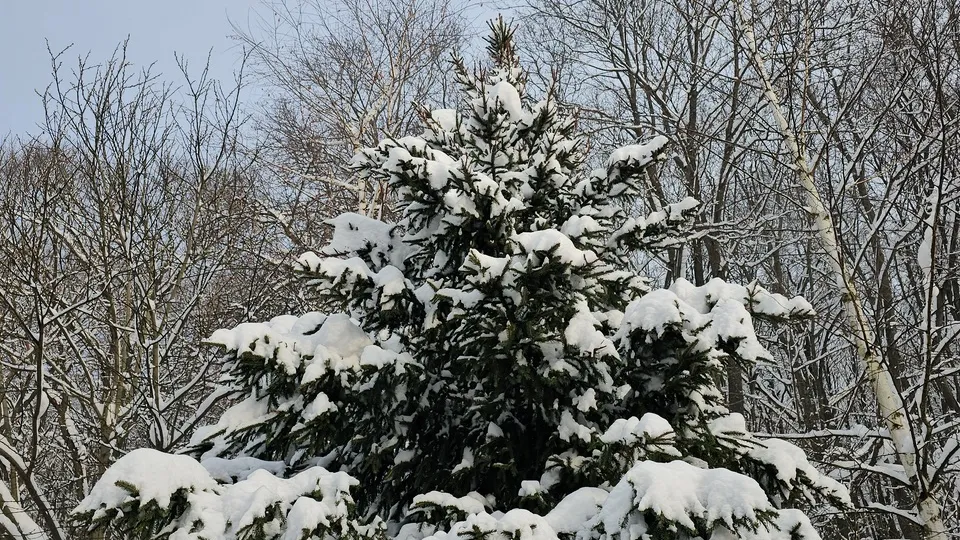 Фото: REGIONS/Александр Дрожжин