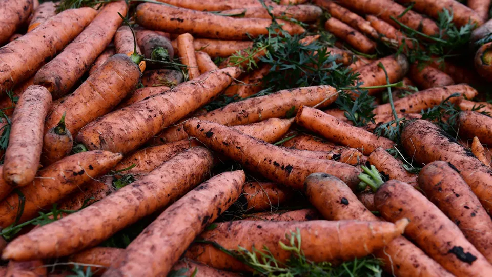 Фото: РИА Новости/Павел Лисицын