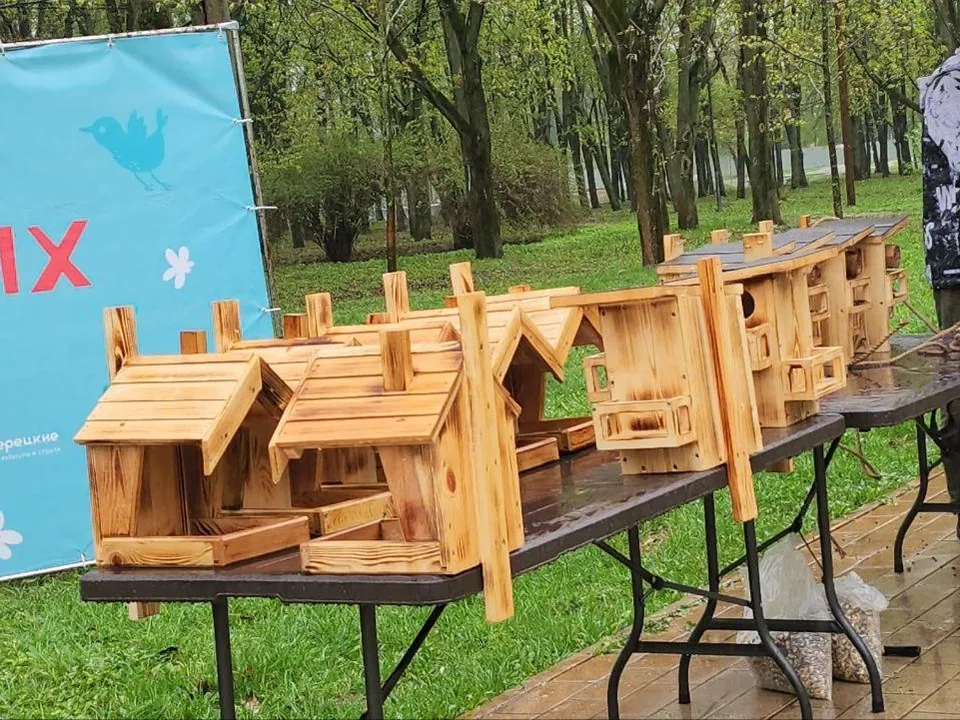 Фото: Наталья Лымарь