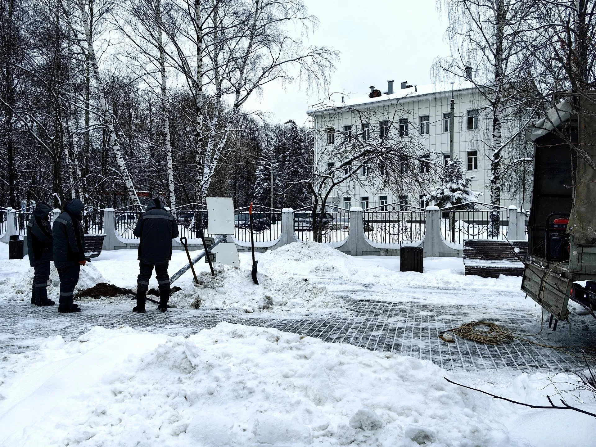 Елена Катасонова