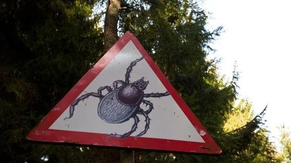 «Невские новости»