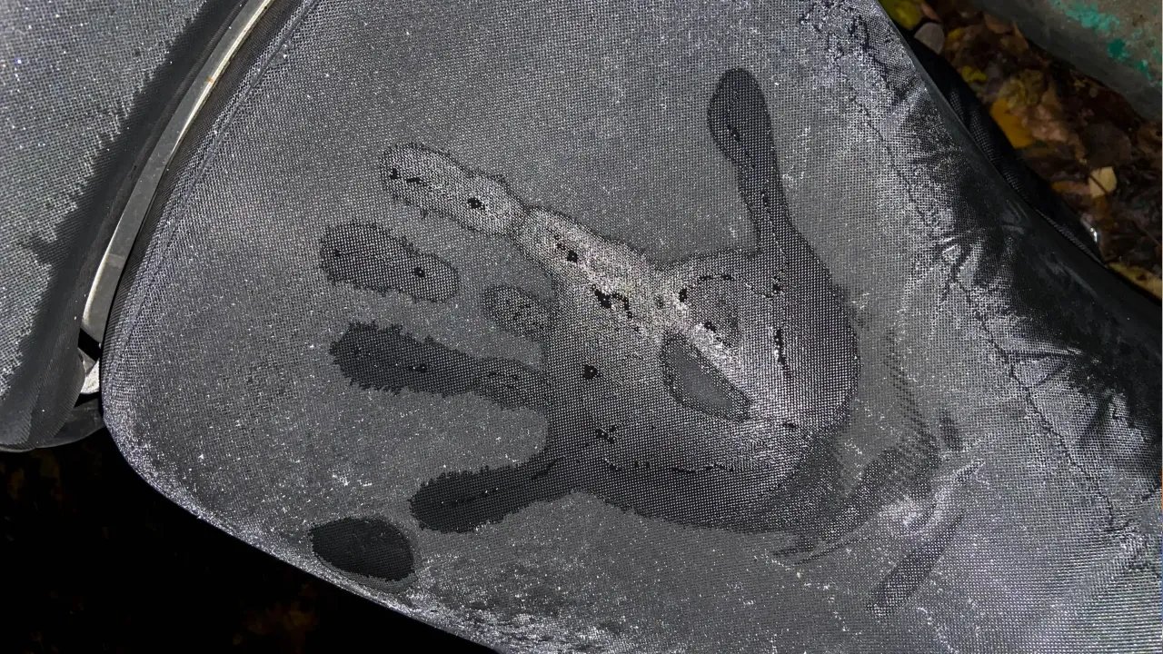 REGIONS/Владимир Ерастов