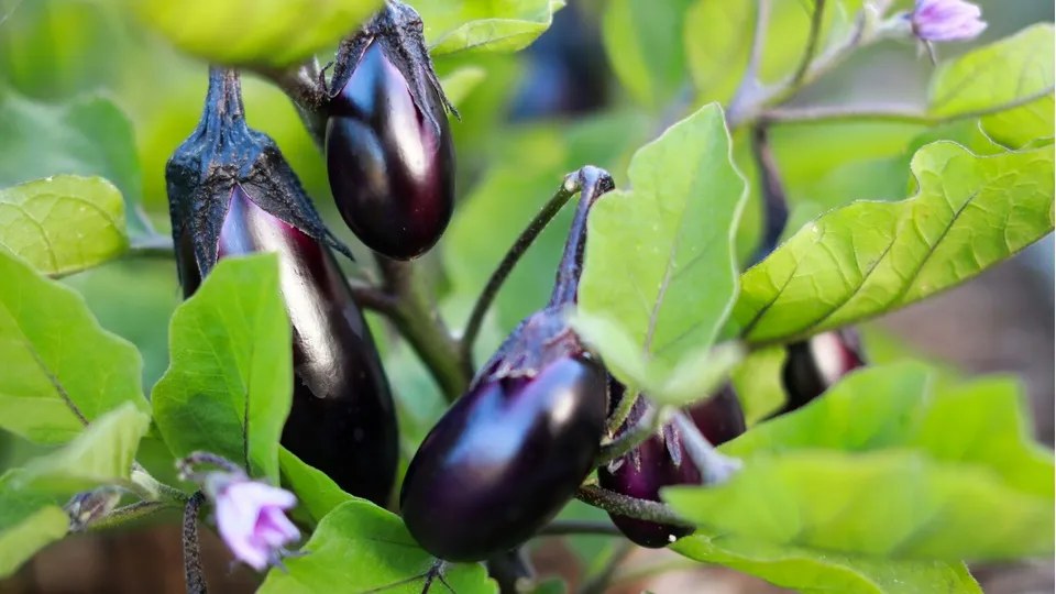 Фото: unsplash.com