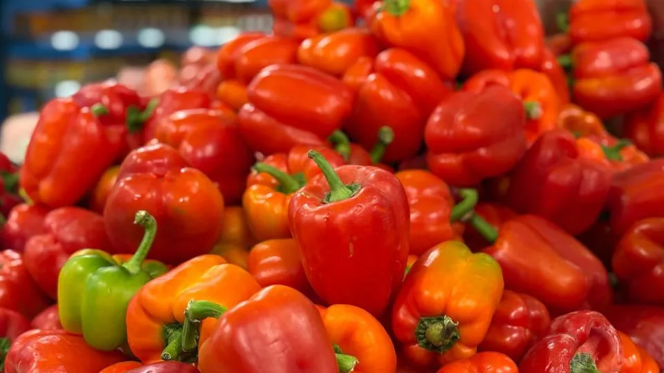 Фото: REGIONS/Полина Крачун