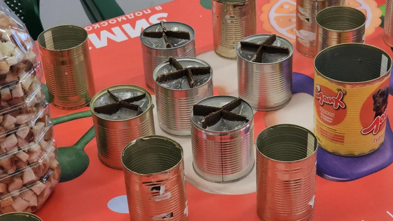 REGIONS/Роман Кутузов