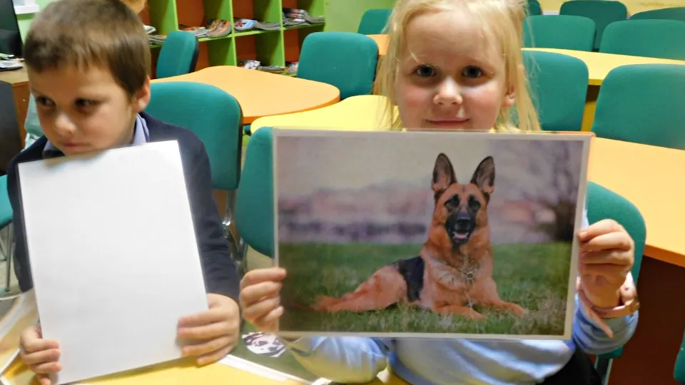 Фото: пресс-служба администрации м.о. Шаховская