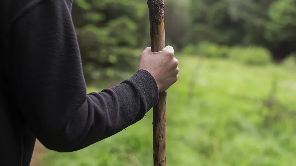 Фото: istockphoto.com