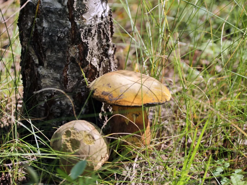 Фото: медиасток.рф