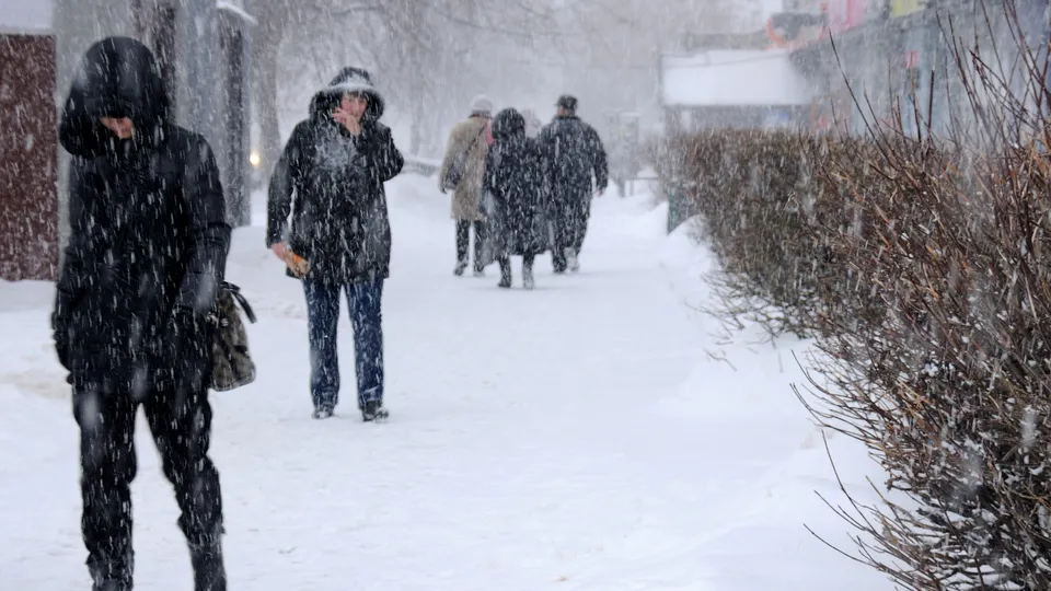 Фото: медиасток.рф