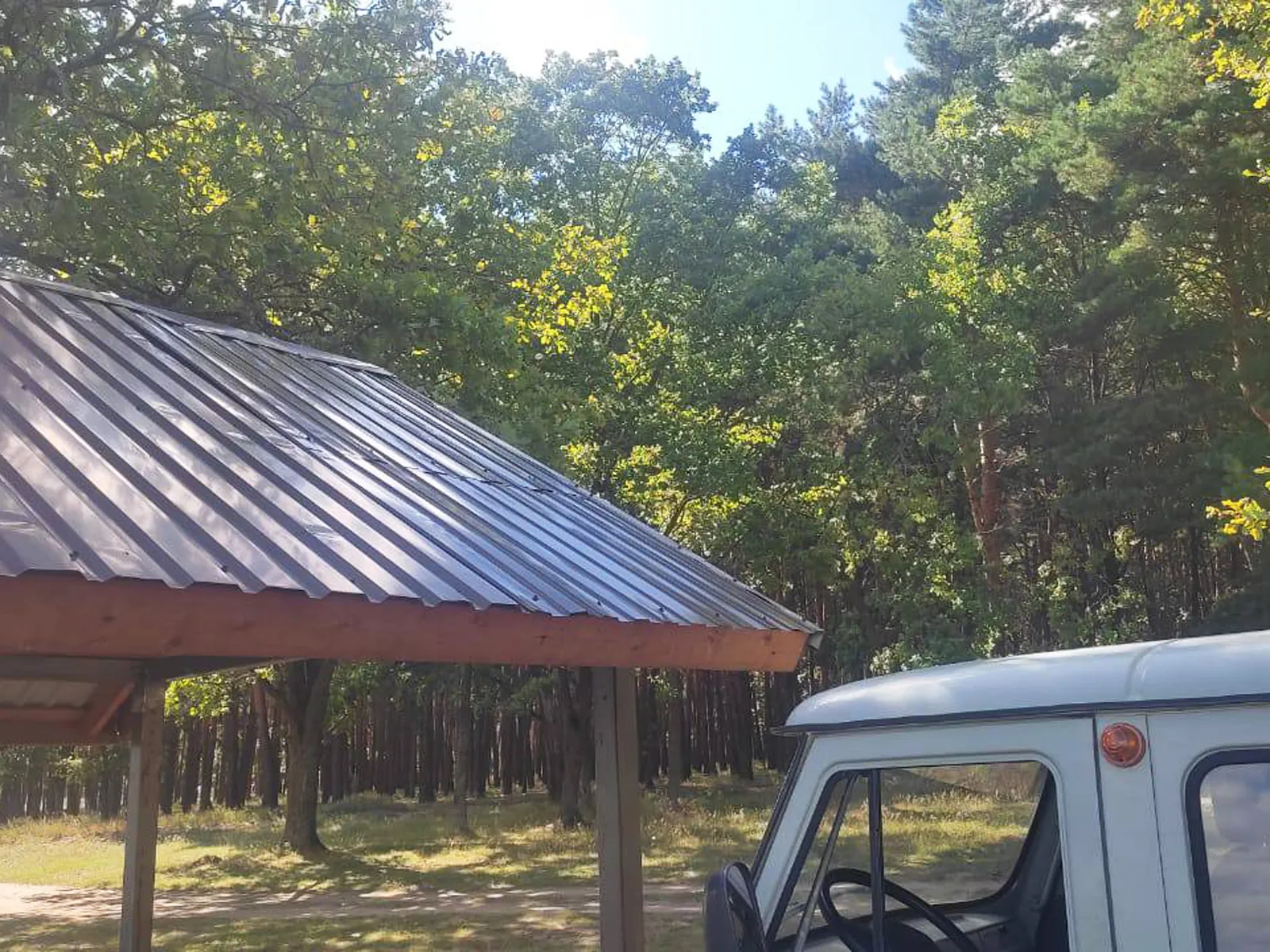 Фото: Ступинский филиал ГКУ МО «Мособллес»