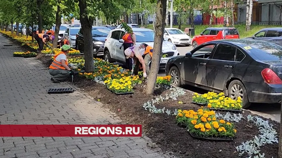 Фото: Никита Сморкалов