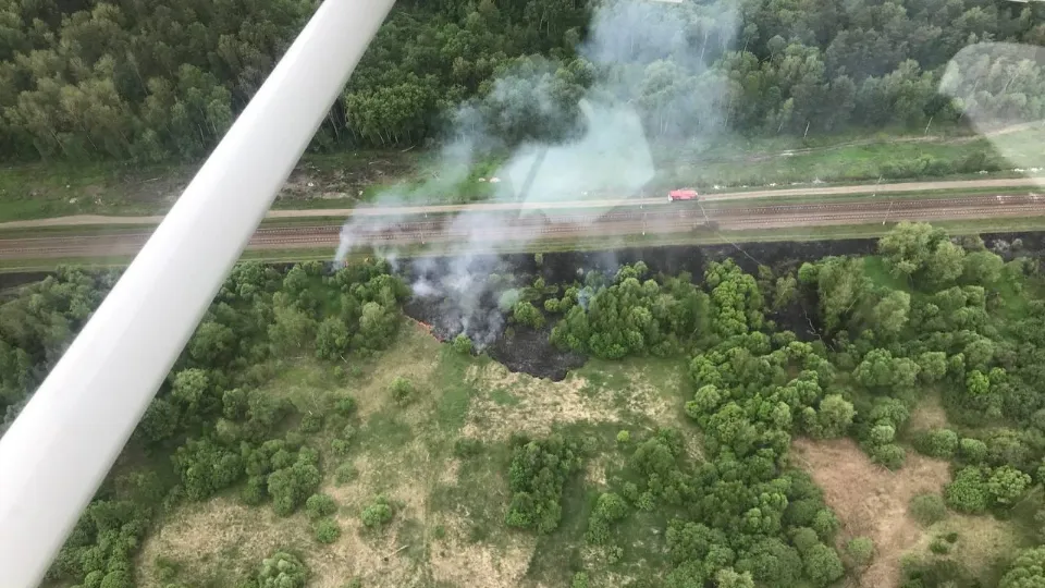 Фото: Комитет лесного хозяйства Московской области