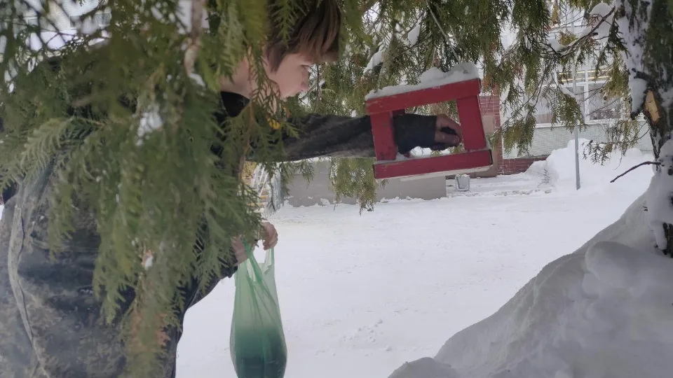 Фото: Комитет лесного хозяйства МО