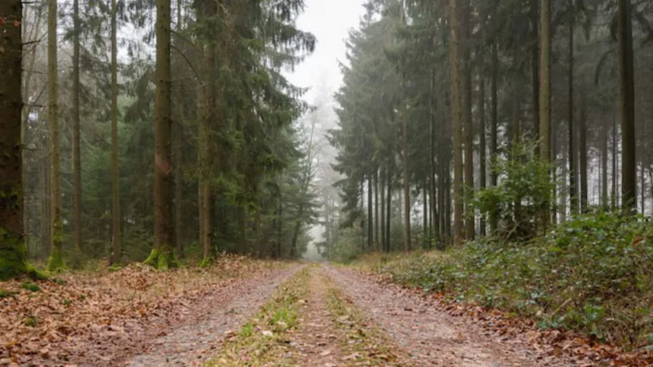 Фото: freepik.com